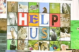 Școala Loloiasca-4 Școala Loloiasca-4